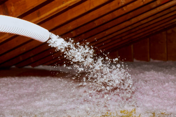 Best Spray Foam Insulation in St Augusta, MN