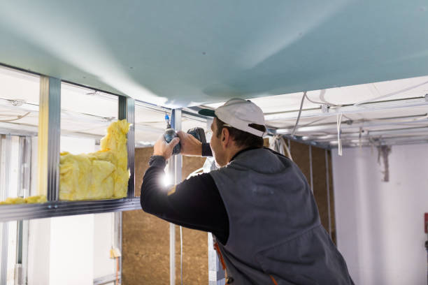 Types of Insulation We Offer in St Augusta, MN