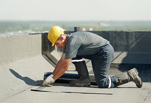 Best Cellulose Insulation in St Augusta, MN
