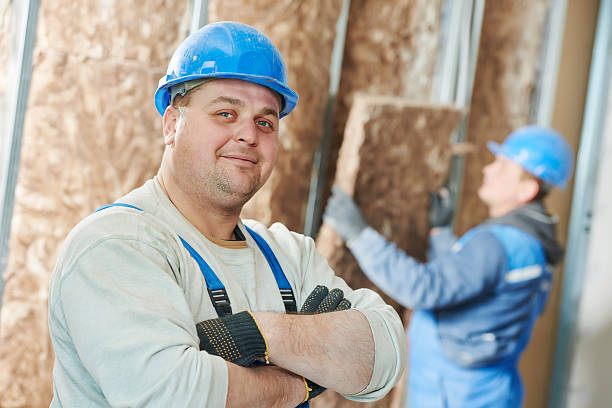 Best Fiberglass Insulation in St Augusta, MN